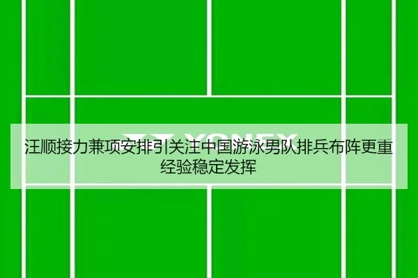 汪顺接力兼项安排引关注中国游泳男队排兵布阵更重经验稳定发挥